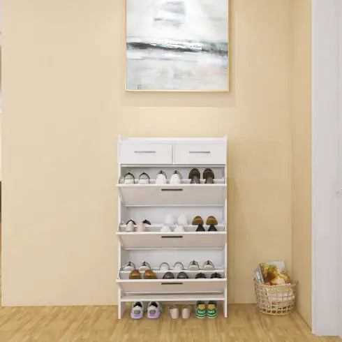 Enclosed Multi layer shoe cabinet