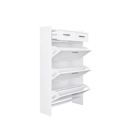 Enclosed Multi layer shoe cabinet