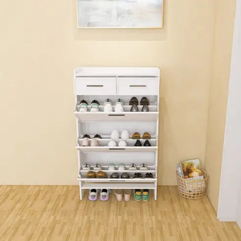 Enclosed Multi layer shoe cabinet